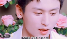 刘真父母爆料视频大全集,揭开背后真相与感人瞬间