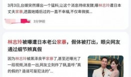 台媒爆料家暴案件最新,悲剧背后隐藏的惊人真相